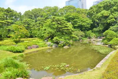 DSC_3350 (Large).JPG